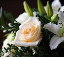 cremation services Little Elm, TX